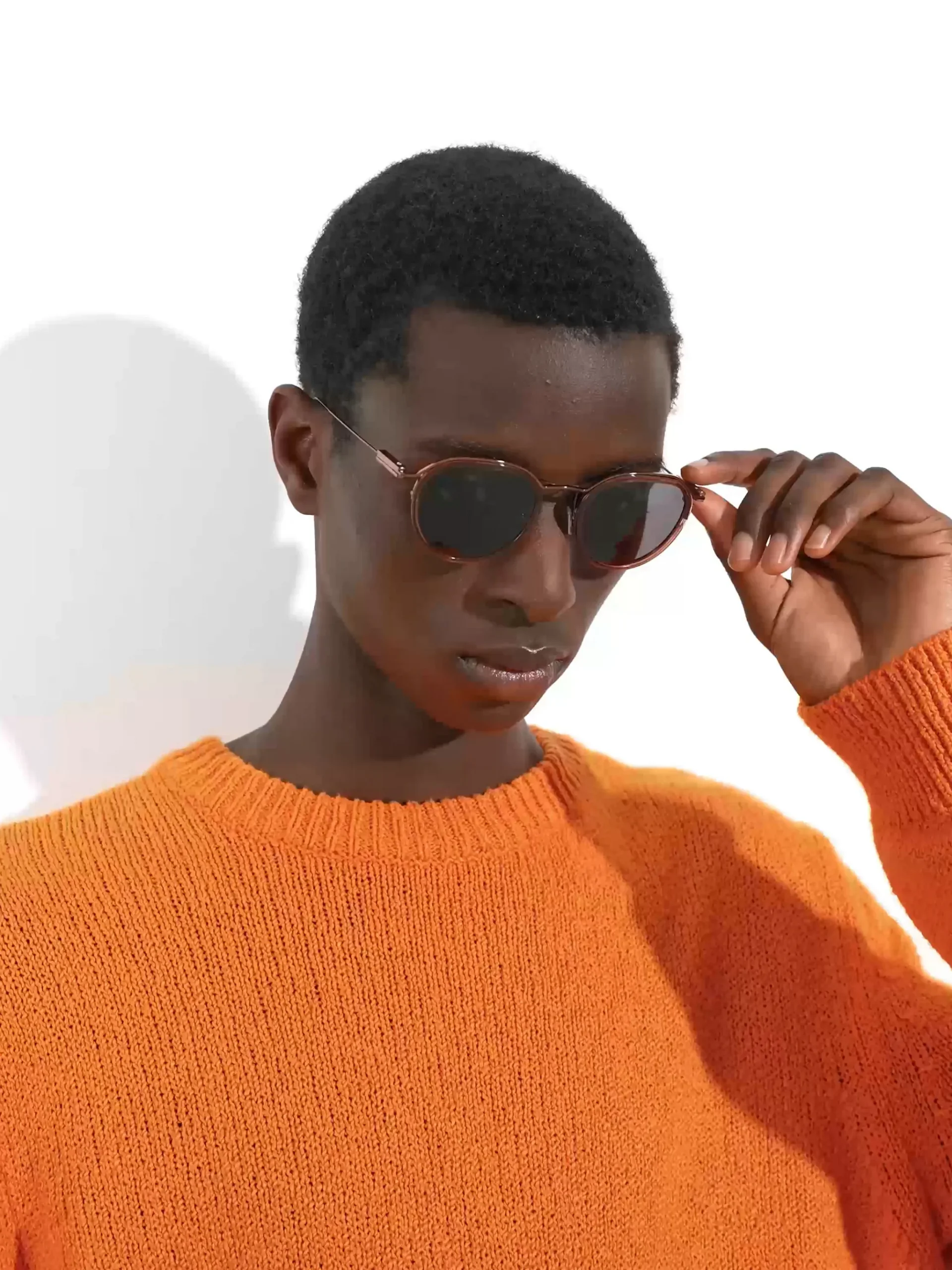 Transparent Brown Acetate and Metal Sunglasses